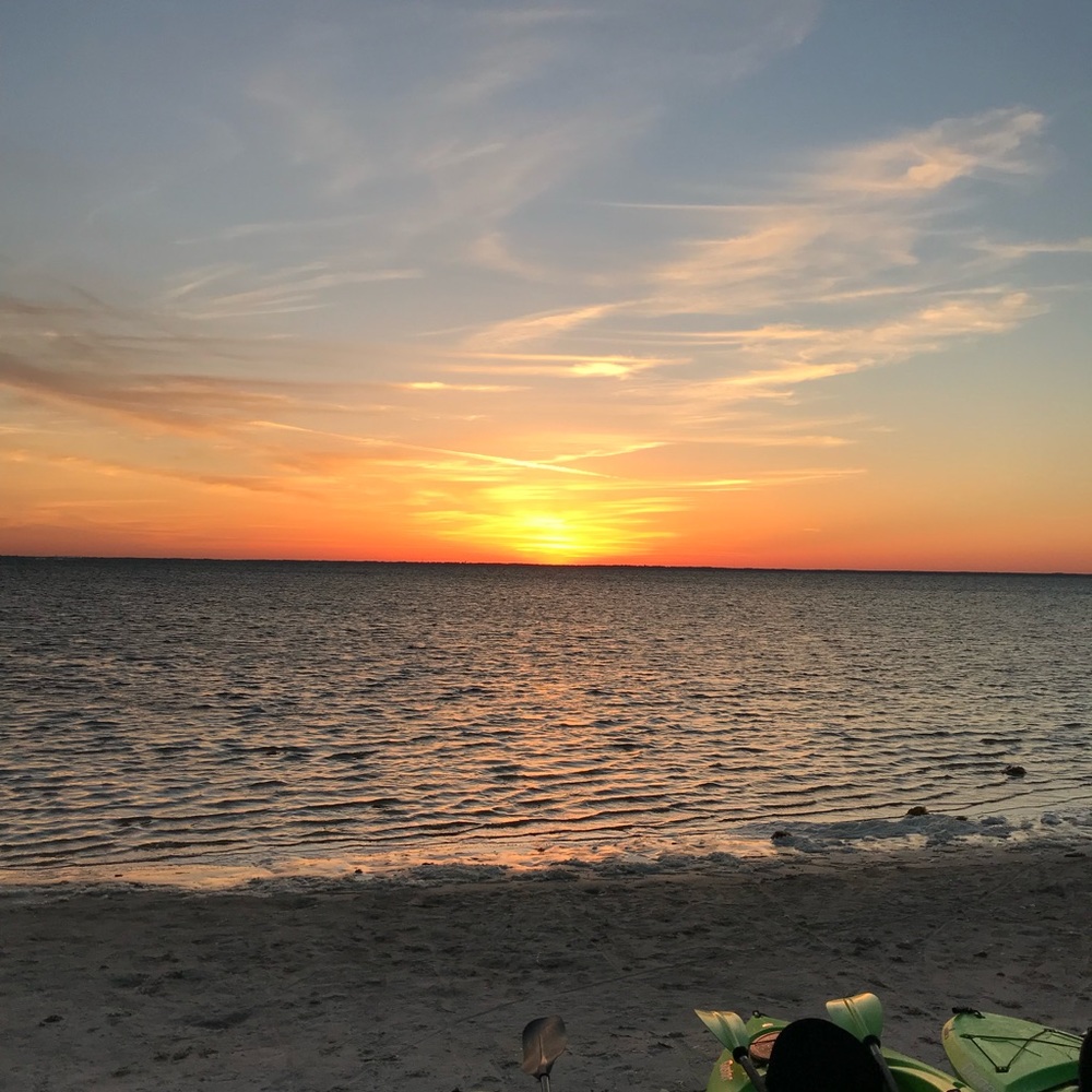 Meet your Posher, Natasha